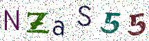 NZaS55