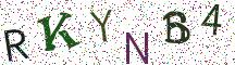 RKYNB4