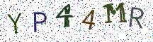 YP44MR