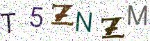 T5ZNZM
