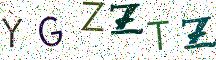YGZZTZ