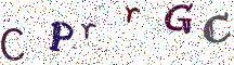 CPrrGC