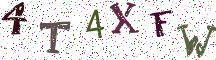 4T4XFW