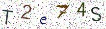 T2e74S