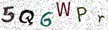5Q6WPr