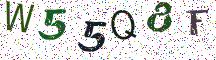 W55Q8F