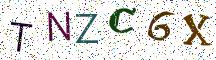 TNZC6X