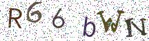 R66bWN