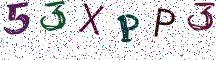 53XPP3