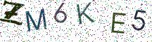 ZM6KE5