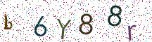 b6Y88r