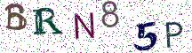 BRN85P