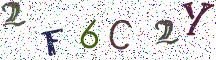 2F6C2Y