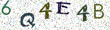 6Q4E4B