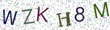 WZKH8M