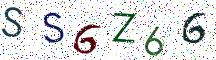 SS6Z66