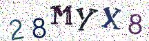 28MYX8
