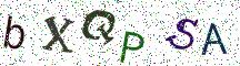bXQPSA