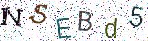 NSEBd5
