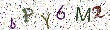 bPY6M2
