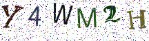 Y4WM2H