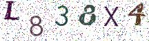 L838X4