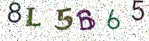 8L5B65