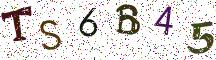 TS6B45