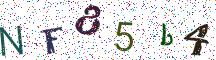 NF85b4
