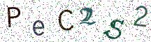 PeC2S2