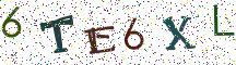 6TE6XL