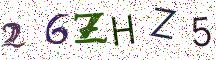 26ZHZ5