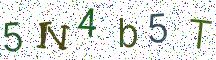 5N4b5T
