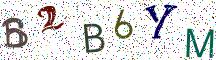 B2B6YM