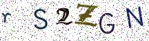 rS2ZGN