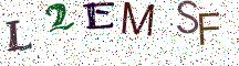 L2EMSF