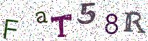 FaT58R