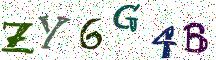 ZY6G4B