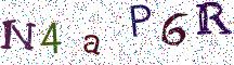 N4aP6R