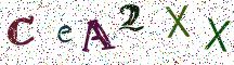 CeA2XX