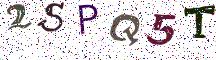 2SPQ5T