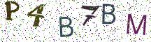P4B7BM