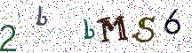 2bbMS6