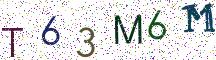 T63M6M