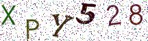 XPY528