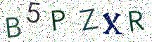 B5PZXR