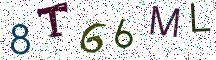 8T66ML
