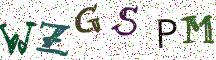 WZGSPM