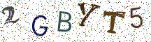2GBYT5