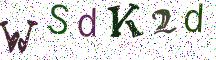 WSdK2d